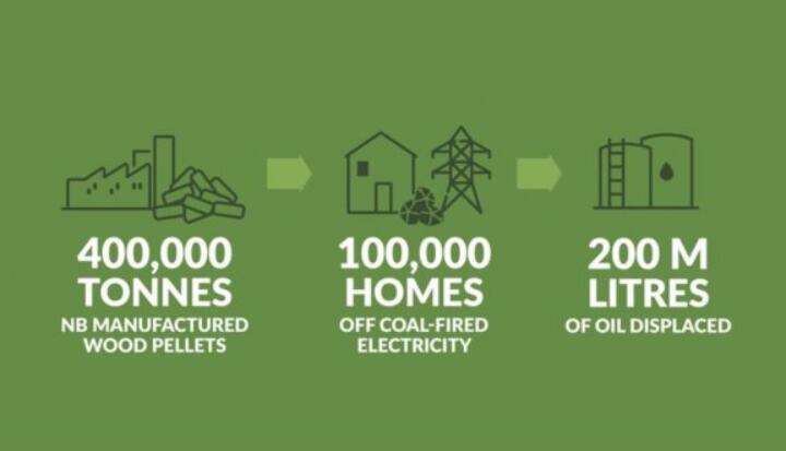 全球48%的木屑顆粒消費(fèi)來自住宅和商業(yè)建筑。從2020年到2021年，歐洲家庭生物質(zhì)消費(fèi)量增長了18%，商業(yè)應(yīng)用增長了12.5%。