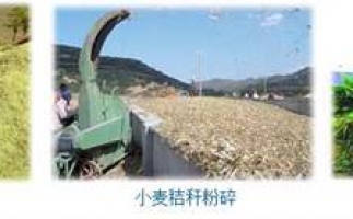 農(nóng)民科學(xué)發(fā)展新思路，秸稈綜合利用成為賺錢好門路之秸稈顆粒機