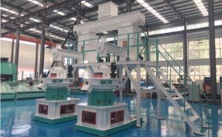 木屑顆粒機(jī)多少錢一臺(tái)?建顆粒廠大約多少錢？