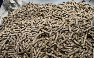 鋸末顆粒機(jī)的顆粒燃料比煤炭貴，為什么還有那么多人用？