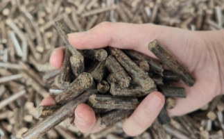 木屑燃料顆粒熱值多少大卡，完全取決于燃料的原料